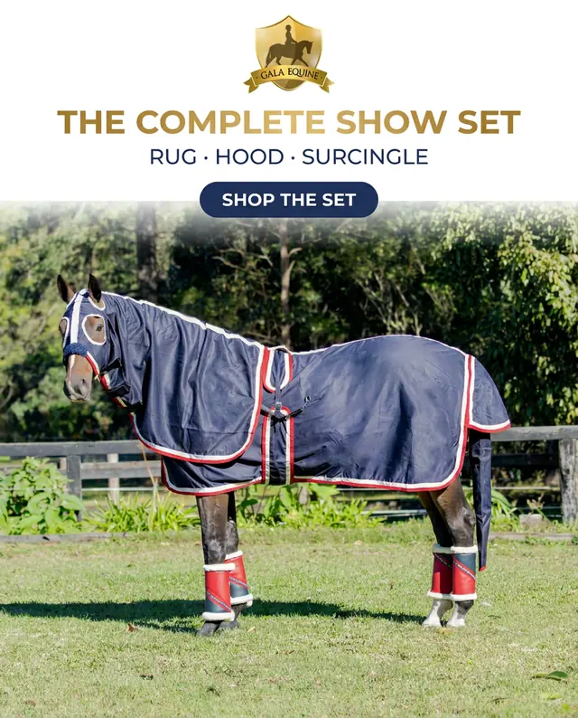 Horse in a navy show rug, hood and surcingle with red and white trims standing in a paddock, under the headline The complete show set.