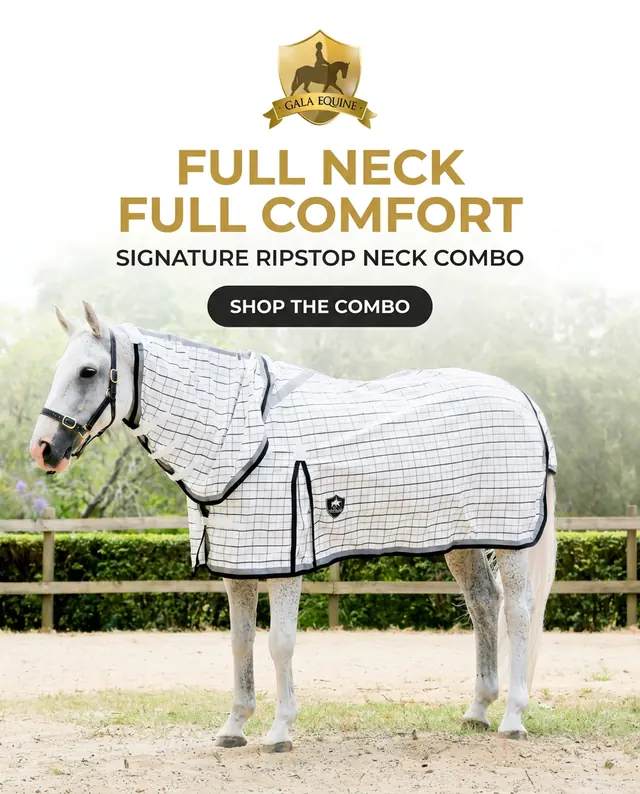 Grey horse in a white check ripstop rug with a full neck cover standing in an arena by a hedge, under the headline Full neck, full comfort.