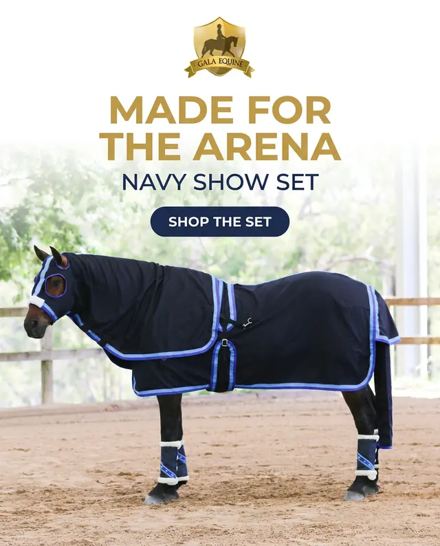 Horse in a navy show set with blue trims standing in a sand arena, under the headline Made for the arena.