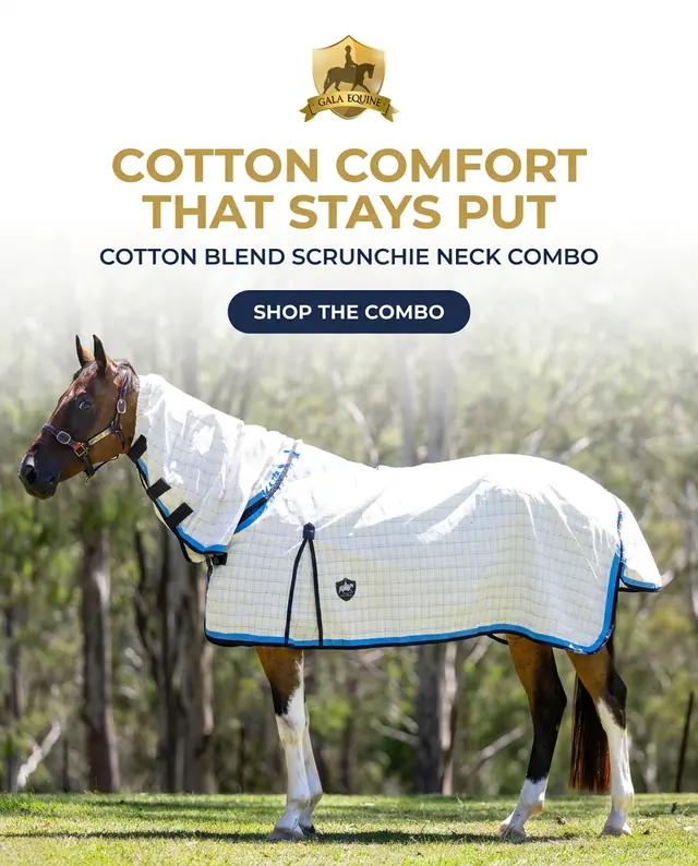 Bay horse in a white cotton check rug with a scrunched neck cover and blue trims standing in a bush paddock, under the headline Cotton comfort that stays put.