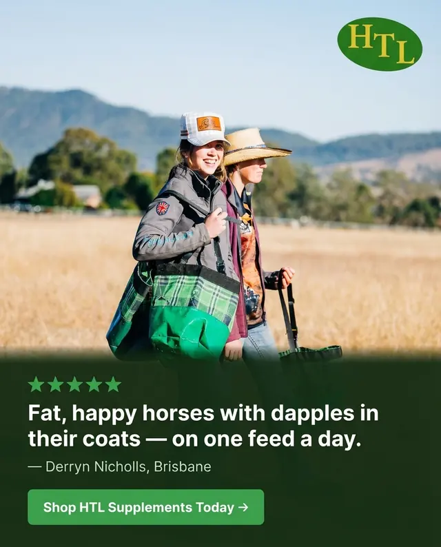 Two riders walking through a paddock above a customer quote about happy horses with dapples in their coats.