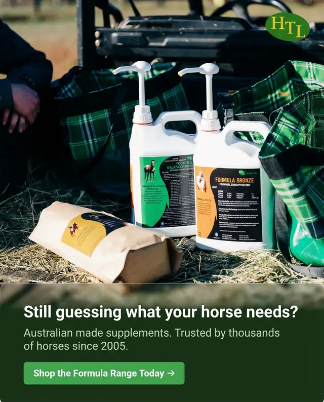 Hair Test Lab supplement products arranged beside tack under the question Still guessing what your horse needs?
