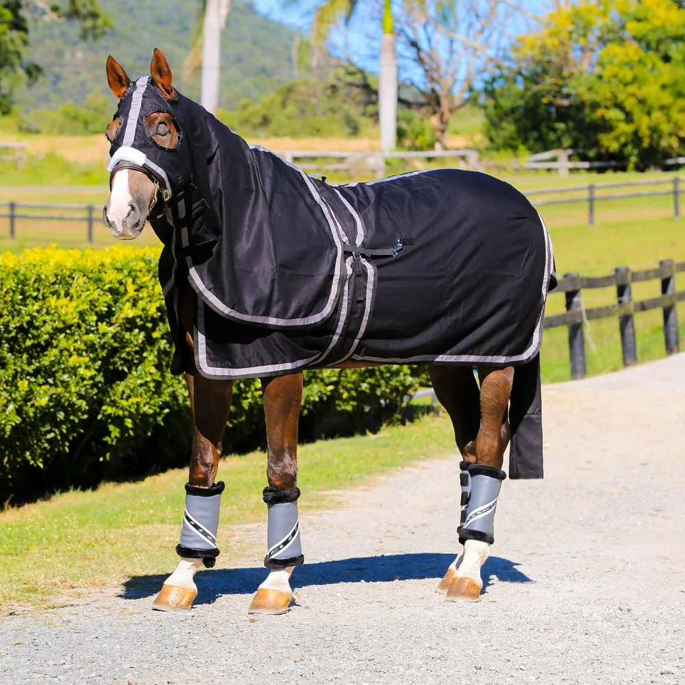 Gala Equine