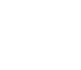 Gala Equine