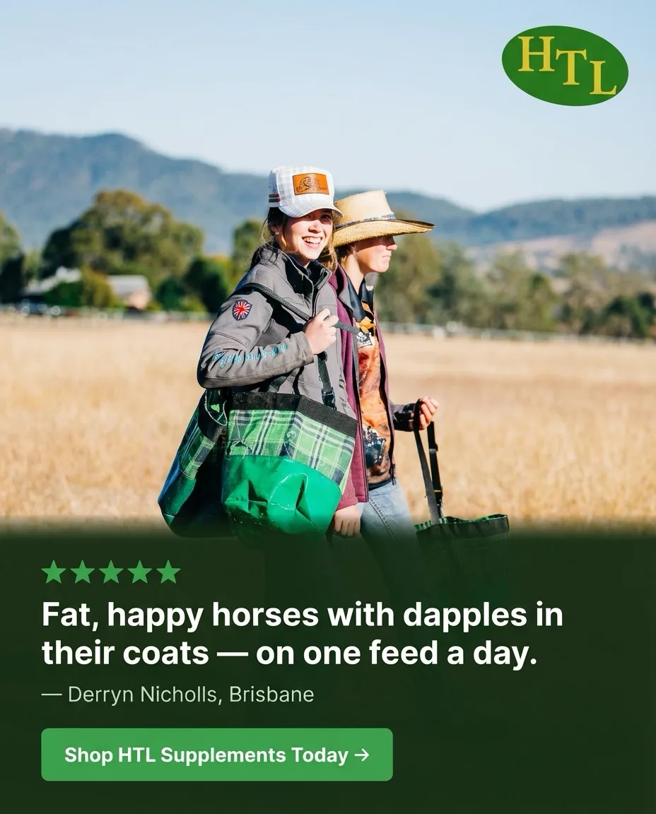 Meta ad creative example