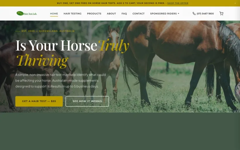 Hair Test Lab website built by MakeItScale